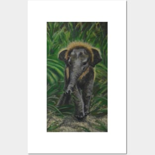 Baby Elephant in the tall grass Posters and Art